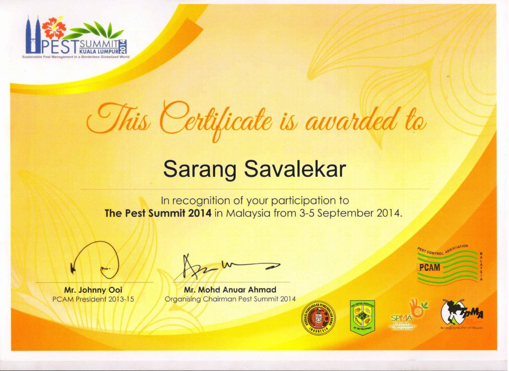 Certificate 4